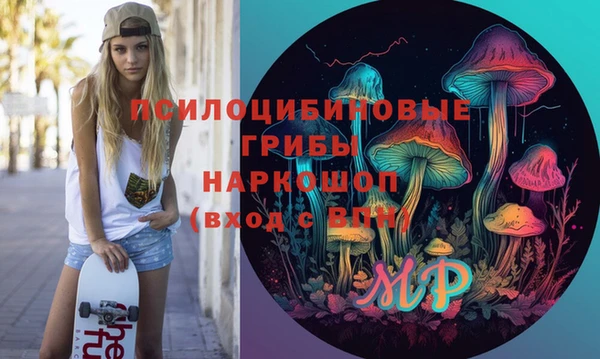 круглые Алзамай
