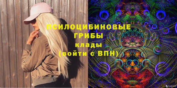 круглые Алзамай