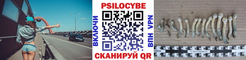 Псилоцибиновые грибы Cubensis  Коломна 