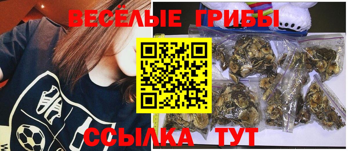 Галлюциногенные грибы ЛСД  Вход с VPN  Коломна  Галлюциногенные грибы GOLDEN TEACHER 