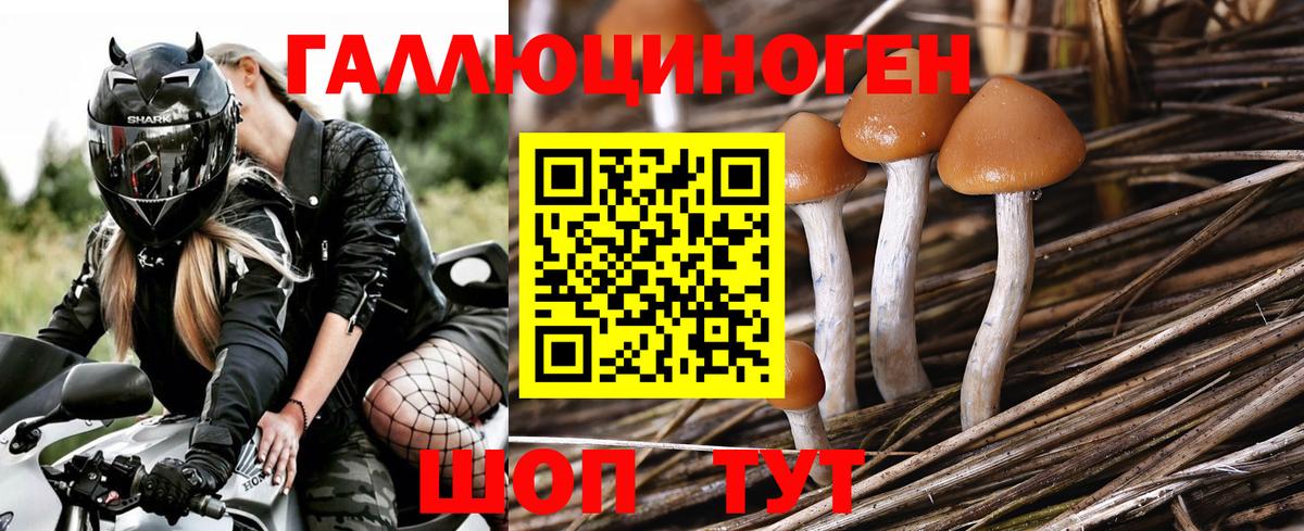 ГАШ Коломна